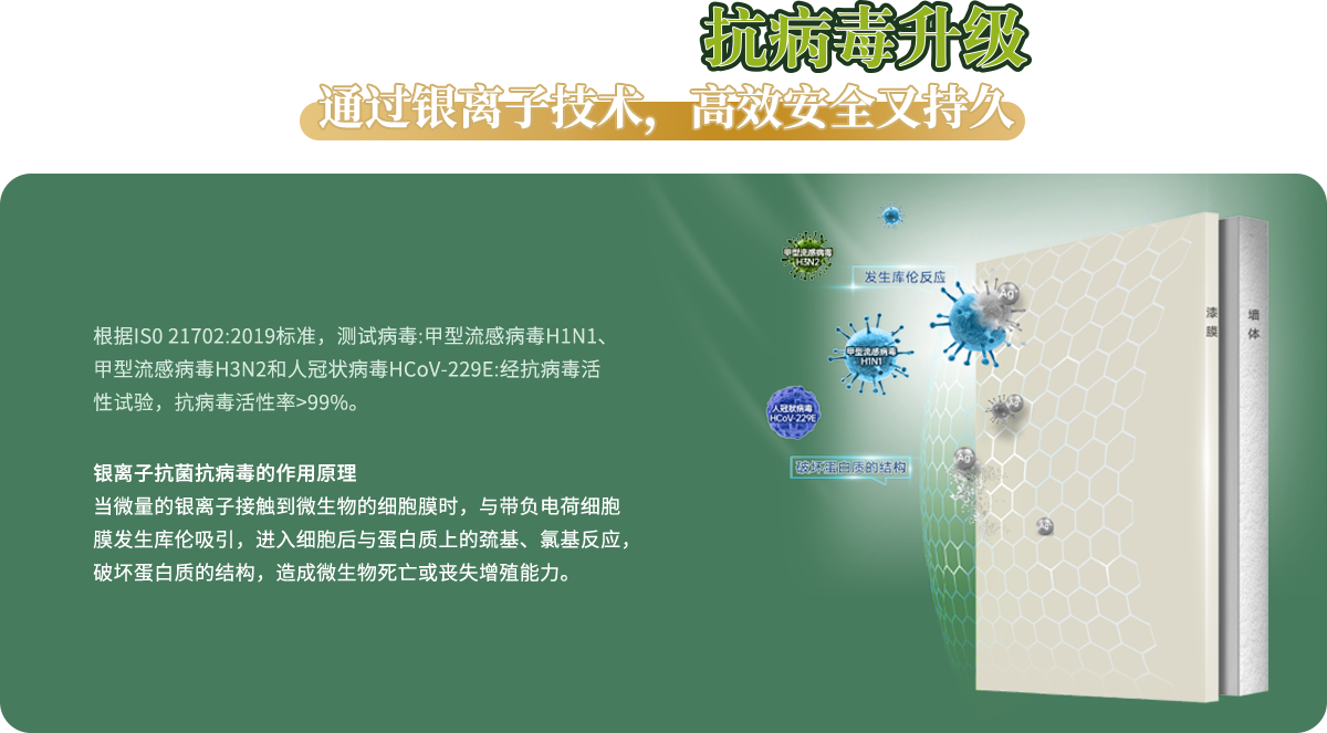 游艇会yth·(中国区)官方网站