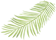 游艇会yth·(中国区)官方网站